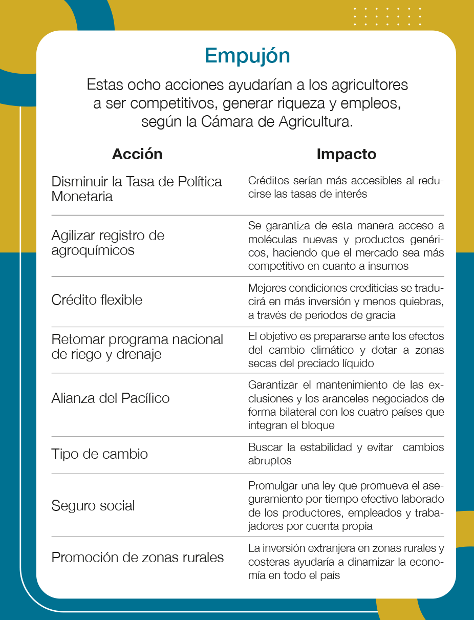 Estas son las ocho acciones que piden los agricultores a Rodrigo Chaves ...
